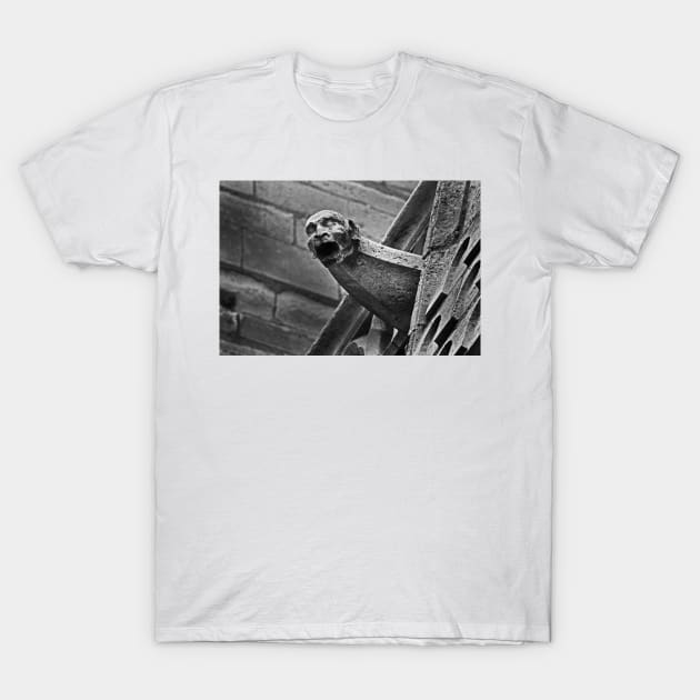 gargoyle 3 T-Shirt by lastgasp